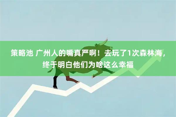 策略池 广州人的嘴真严啊！去玩了1次森林海，终于明白他们为啥这么幸福
