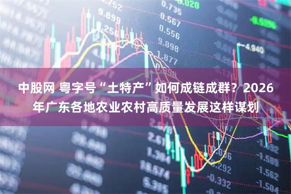中股网 粤字号“土特产”如何成链成群？2026年广东各地农业农村高质量发展这样谋划